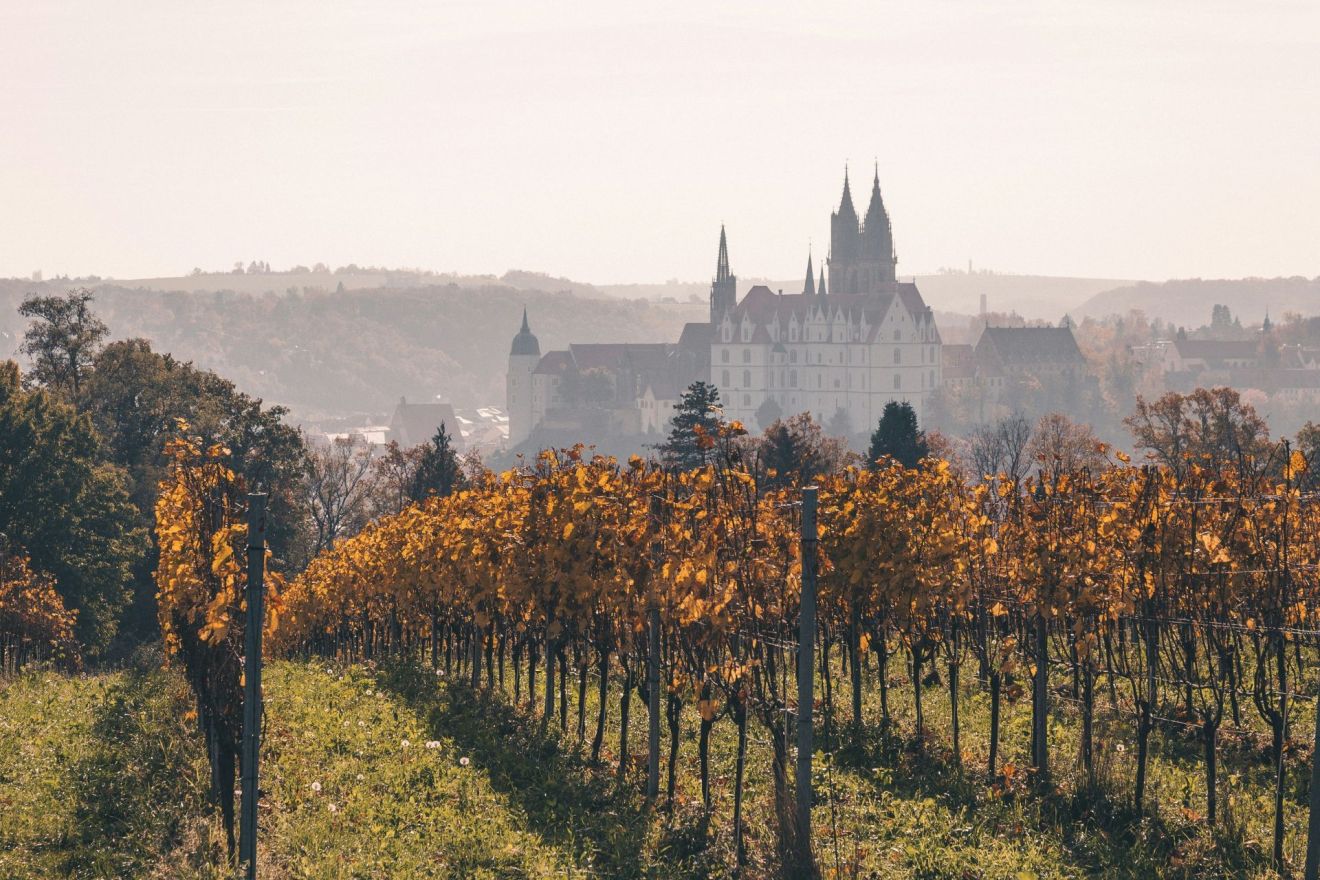 Duitsland is een wijnland dat bekendstaat om zijn pure, verfijnde en vaak lichtvoetige wijnen. Dankzij het koele klimaat en de steile hellingen langs rivieren zoals de Mosel en de Rijn, ontstaan wijnen met een unieke combinatie van frisheid, mineraliteit en finesse.Het land blinkt vooral uit in witte wijnen, maar produceert ook steeds meer elegante rode wijnen die internationaal lof krijgen.