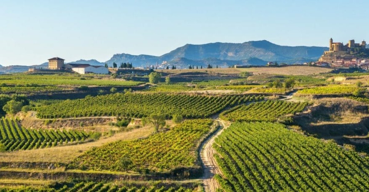 Spanje is een van de meest veelzijdige wijnlanden ter wereld. Het land kent een enorme variatie aan klimaten: van de koele Atlantische kust in Galicië tot de warme, droge hoogvlaktes van La Mancha. Die diversiteit zorgt voor wijnen met een uitgesproken karakter, van frisse, minerale Albariño tot krachtige, kruidige Tempranillo.Spanje is bovendien het land met de <strong>grootste oppervlakte aan wijngaarden ter wereld</strong>, en dat proef je: authentiek, rijk en vol traditie.